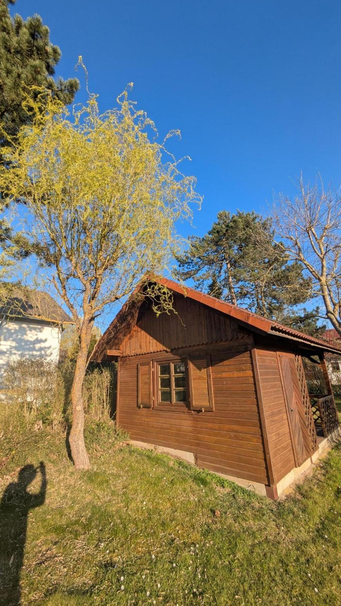 Landhotel Sonneneck - Breuna Im Naturpark ภายนอก รูปภาพ