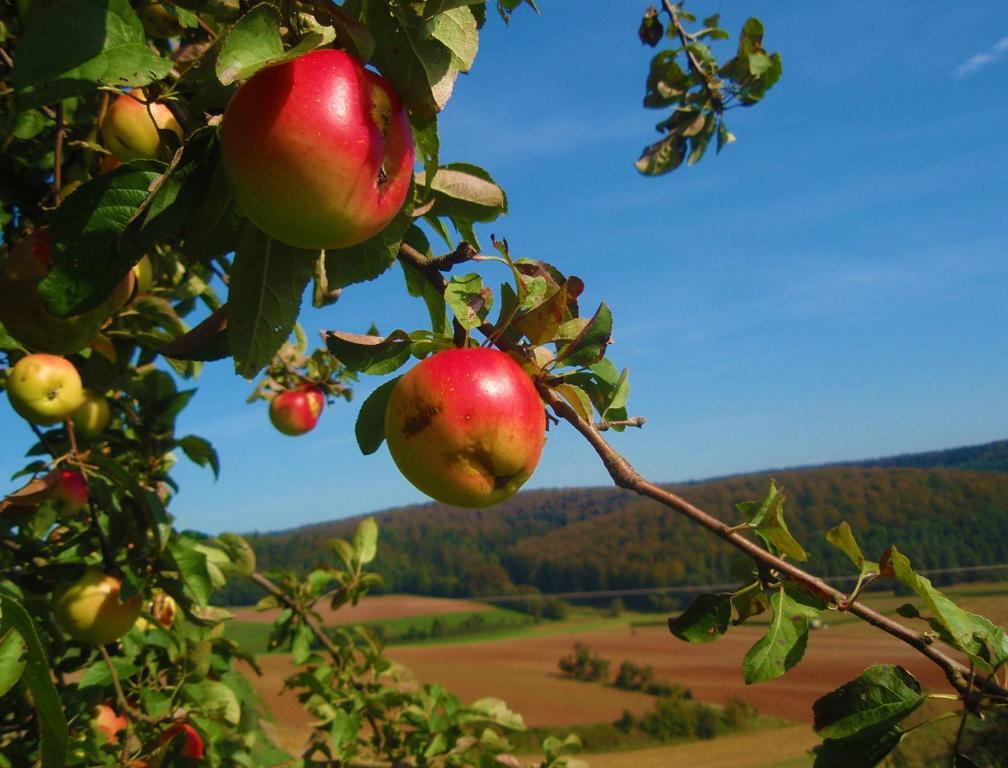 Landhotel Sonneneck - Breuna Im Naturpark ภายนอก รูปภาพ
