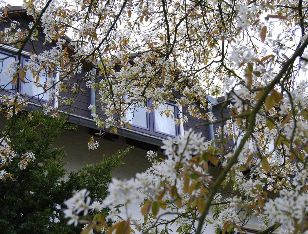 Landhotel Sonneneck - Breuna Im Naturpark ภายนอก รูปภาพ